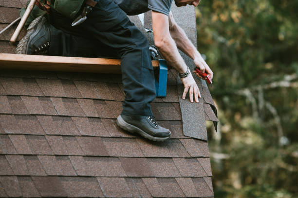 Best Roof Gutter Cleaning  in Evansburg, PA